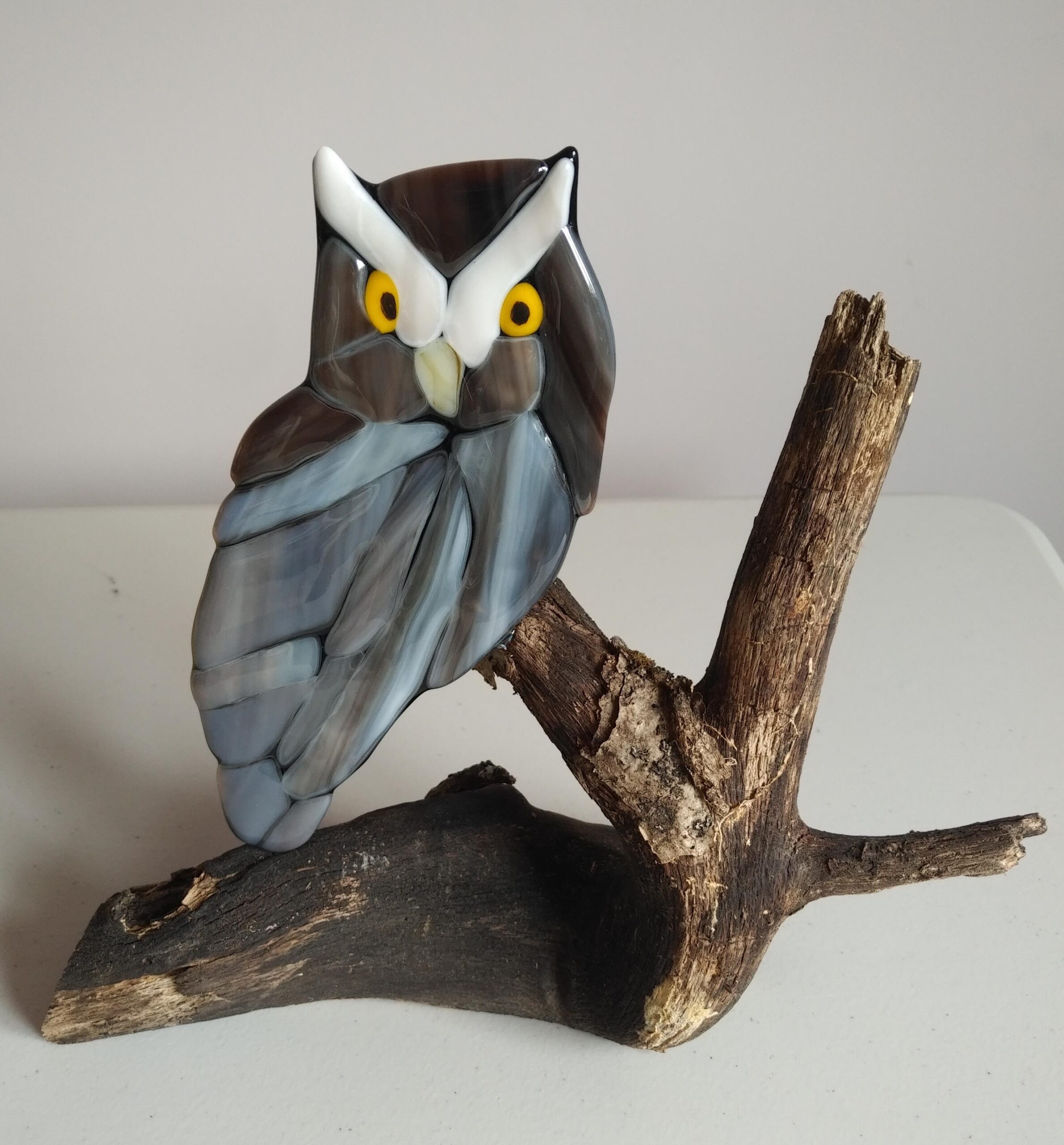 owl on branch